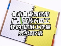有木有做網(wǎng)絡(luò)推廣、宣傳方面工作的?你們工作量多少啊?求