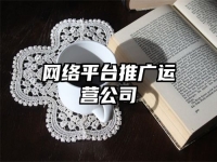 網(wǎng)絡(luò)平臺推廣運(yùn)營公司