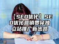 【SEO優(yōu)化】SEO優(yōu)化營銷貫穿獨立站推廣新出路
