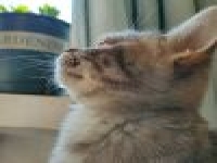 seo推廣是做什么