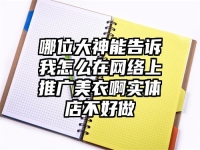 哪位大神能告訴我怎么在網絡上推廣美衣啊實體店不好做