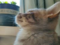 seo排名優(yōu)化推薦