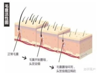 網站seo優化關鍵詞中的誤區