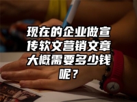 現在的企業做宣傳軟文營銷文章大概需要多少錢呢？