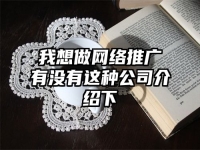 我想做網(wǎng)絡(luò)推廣有沒有這種公司介紹下