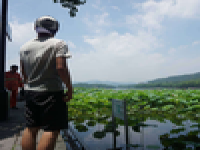 在哪里可以找到個(gè)人推廣者啊